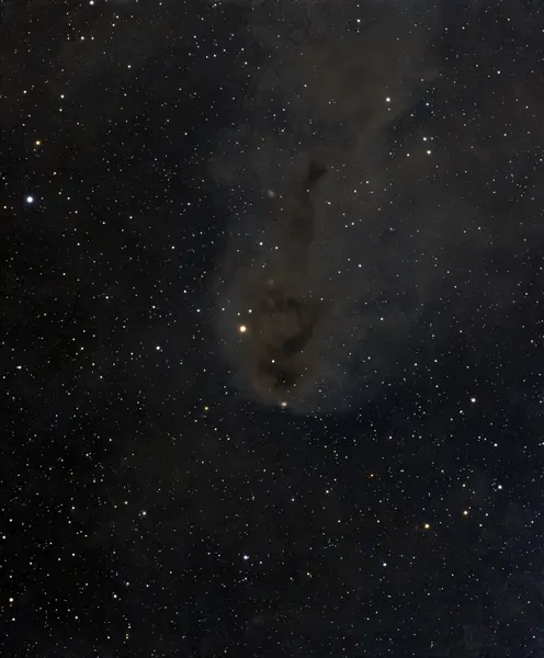 LDN 1251 - Nebulosa Scura
