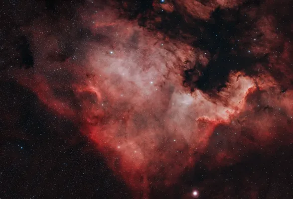 Nebulosa Nord America