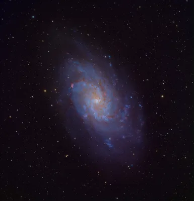 Galassia del triangolo