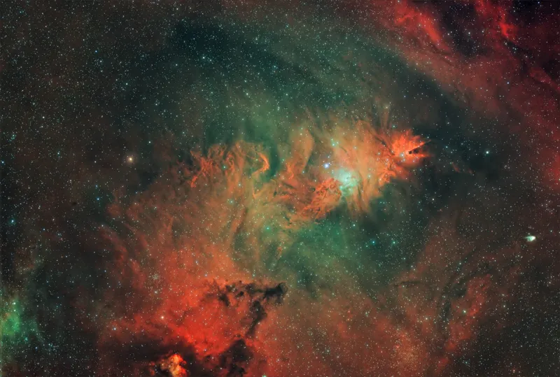 Nebulosa Albero di Natale