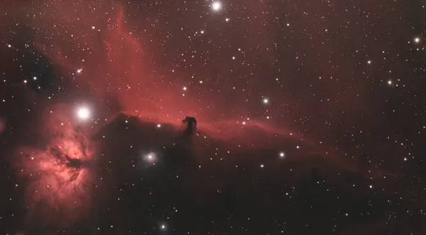 Nebulosa Testa di Cavallo