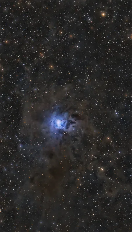 Iris nebula