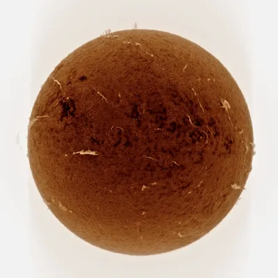 Sole H-Alpha Invertito