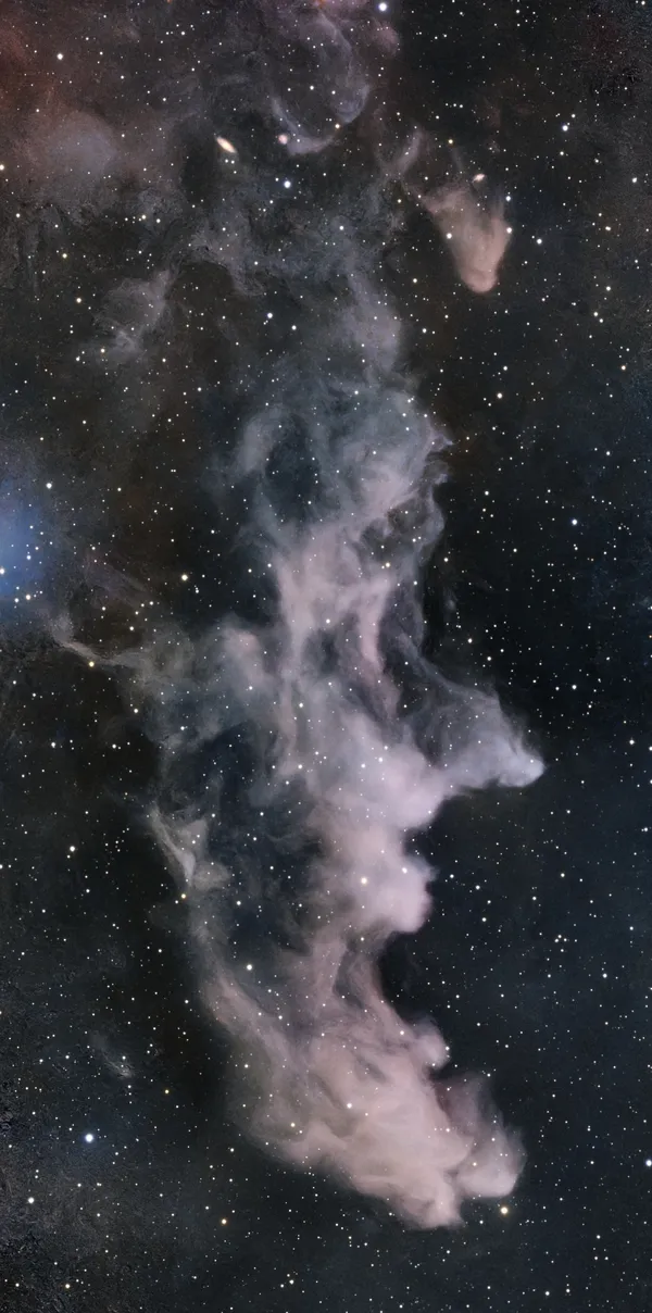 Nebulosa Testa di Strega